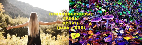 спиды Алексеевка