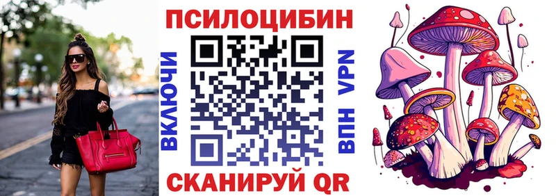 Галлюциногенные грибы Cubensis Майкоп